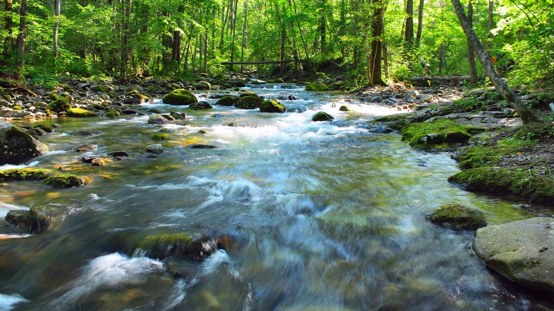 ATTINGIMENTO DI ACQUE PUBBLICHE DA POZZO O ALTRE DERIVAZIONI: scade il 31 marzo 2026 il termine per l&rsquo;invio della denuncia dei quantitativi prelevati nel corso del 2025 al Genio Civile.